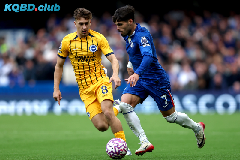 Đội hình dự kiến trước trận Brighton vs Chelsea Đội hình dự kiến trước trận Brighton vs Chelsea